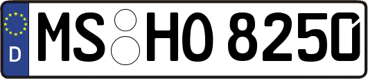 MS-HO8250
