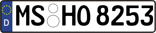 MS-HO8253