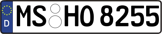 MS-HO8255