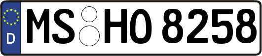 MS-HO8258