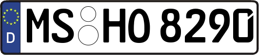 MS-HO8290