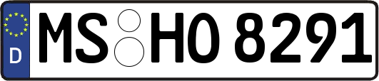 MS-HO8291
