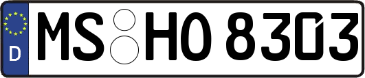 MS-HO8303