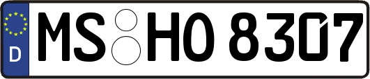 MS-HO8307