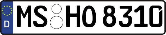 MS-HO8310