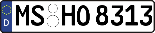 MS-HO8313