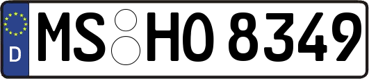 MS-HO8349