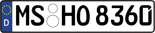 MS-HO8360