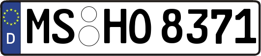 MS-HO8371