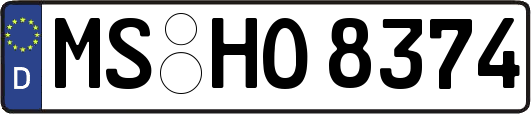 MS-HO8374
