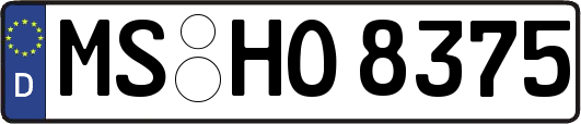 MS-HO8375