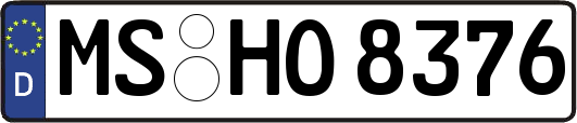MS-HO8376