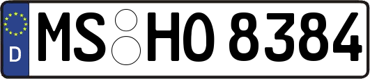 MS-HO8384