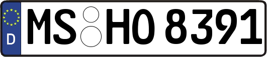 MS-HO8391