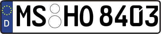 MS-HO8403