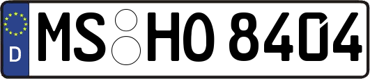 MS-HO8404