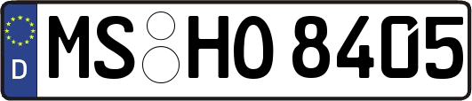 MS-HO8405