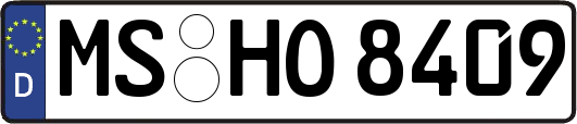 MS-HO8409