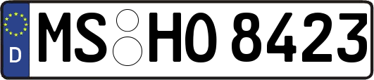 MS-HO8423
