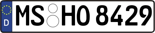 MS-HO8429