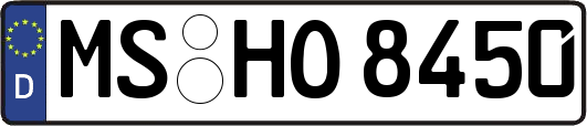 MS-HO8450