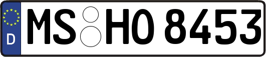 MS-HO8453