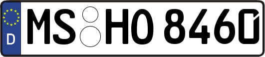 MS-HO8460
