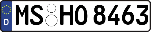 MS-HO8463