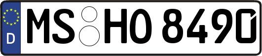 MS-HO8490