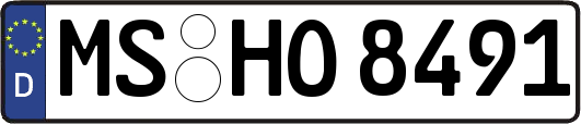 MS-HO8491