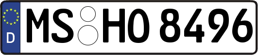 MS-HO8496