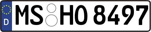 MS-HO8497