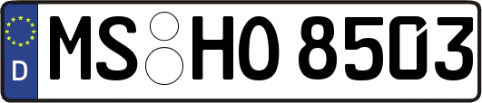 MS-HO8503