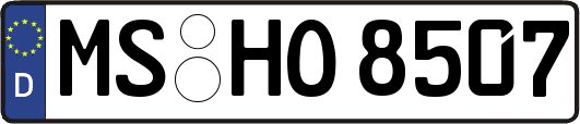 MS-HO8507