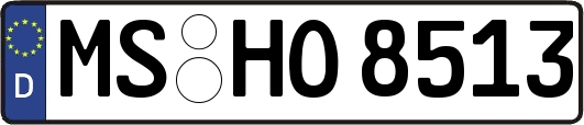 MS-HO8513