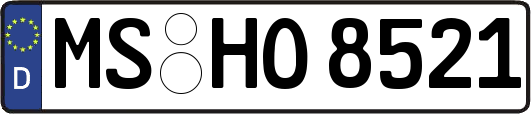 MS-HO8521