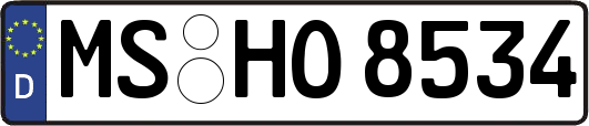 MS-HO8534