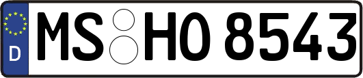 MS-HO8543