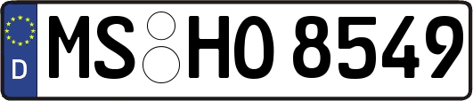 MS-HO8549