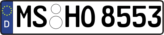 MS-HO8553