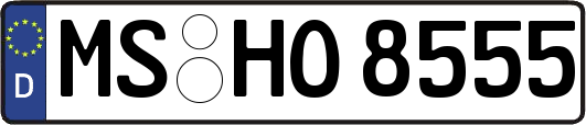 MS-HO8555