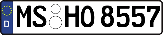 MS-HO8557