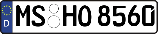 MS-HO8560