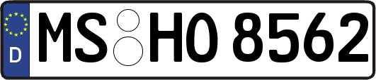 MS-HO8562