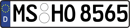 MS-HO8565