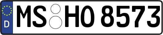 MS-HO8573