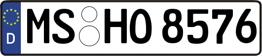 MS-HO8576