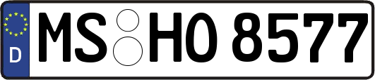 MS-HO8577