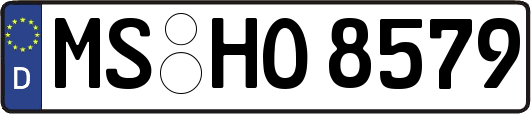 MS-HO8579