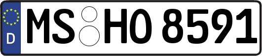 MS-HO8591